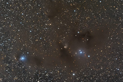 IC 2631